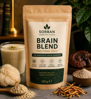Sorban Brain Blend Functional Drink 100 g – Pulvermischung für bewusste Fokus-Momente