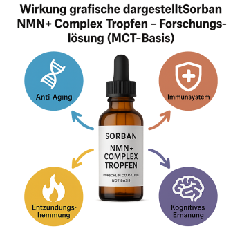 Balance Kombi – CBD Naturextrakt 10 ml 10% & 100ml NMN Tropfen