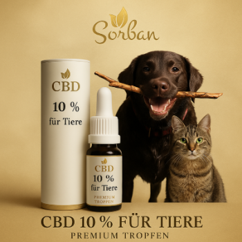 10 % CBD Öl für Tiere in 10 ml Braunglasflasche mit Pipette von Sorban Naturprodukte