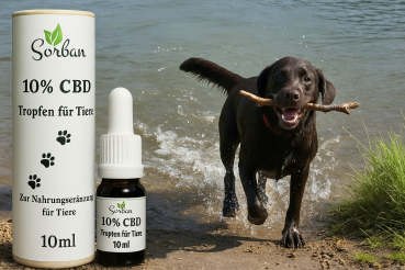 3% CBD- Öl für Tiere 10ml