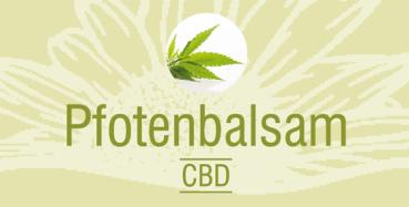 Pfotenbalsam CBD, 50g
