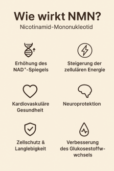 NMN+ Complex Tropfen – NMN + Vitamin C + Curcumin + Piperin (nur für Forschungszwecke)