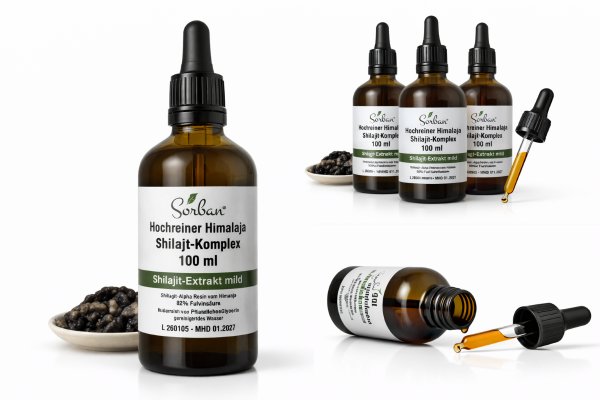 Sorban Shilajit Komplex 100 ml in Braunglasflasche mit Pipette – Produktabbildung