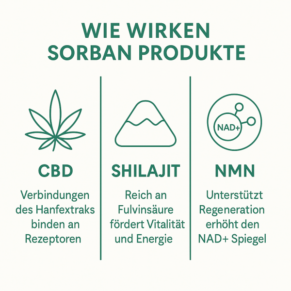 Sorban VitalDuo – NMN + Shilajit 100ml & CBD 10 % 10ml