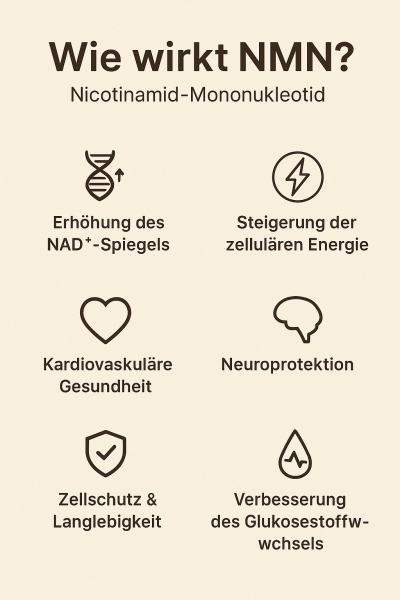 NMN+ Complex Tropfen – NMN + Vitamin C + Curcumin + Piperin (nur für Forschungszwecke)